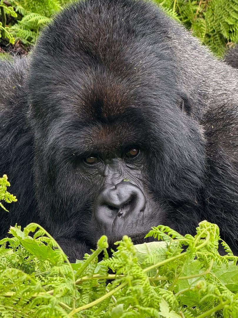 Royal Holidays Safari team