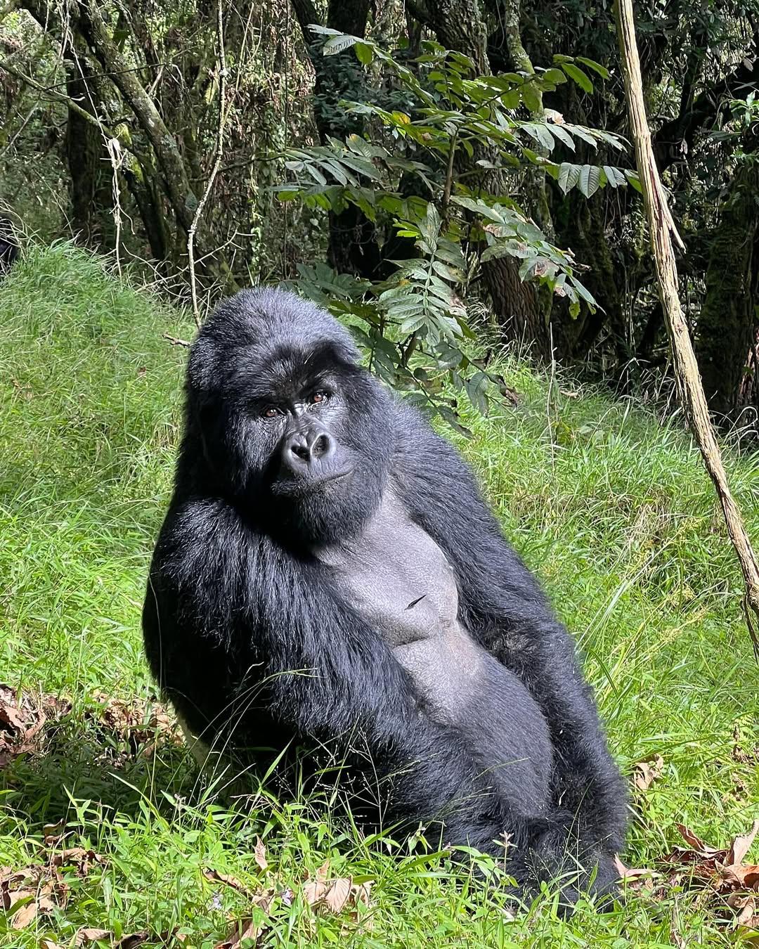 Volcanoes National Park