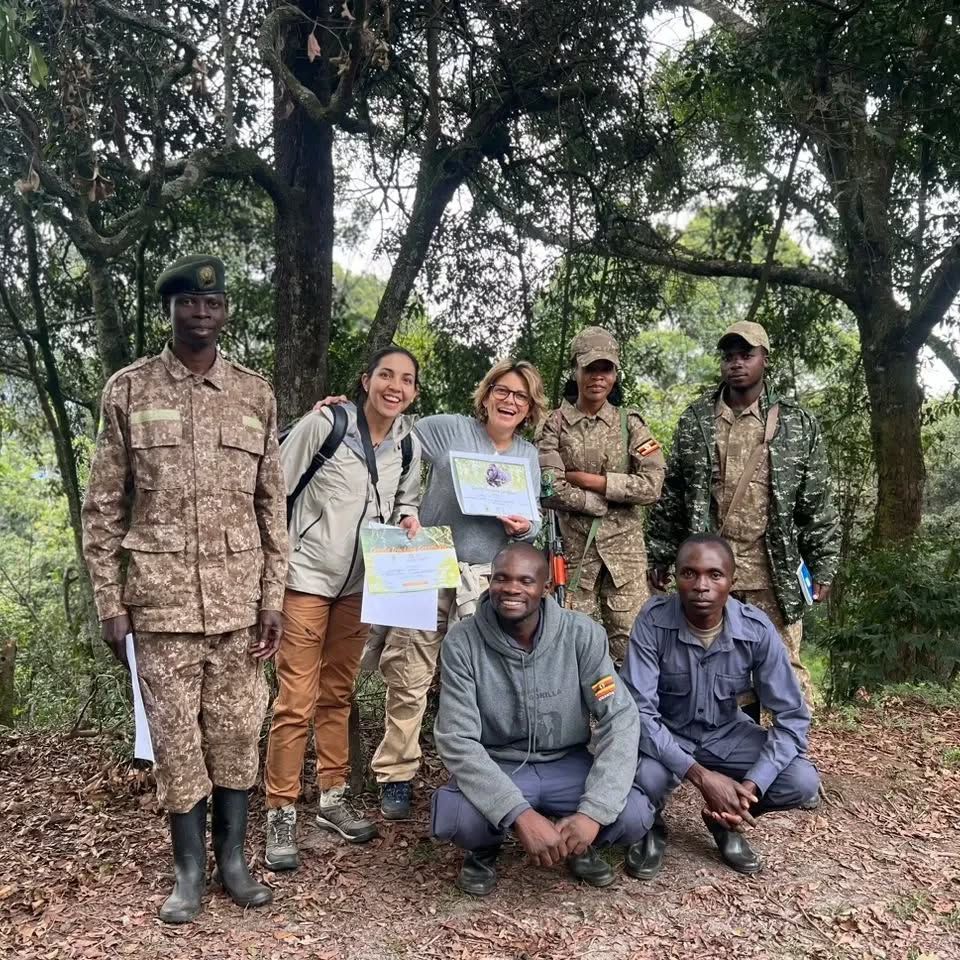 Bwindi Impenetrable Forest