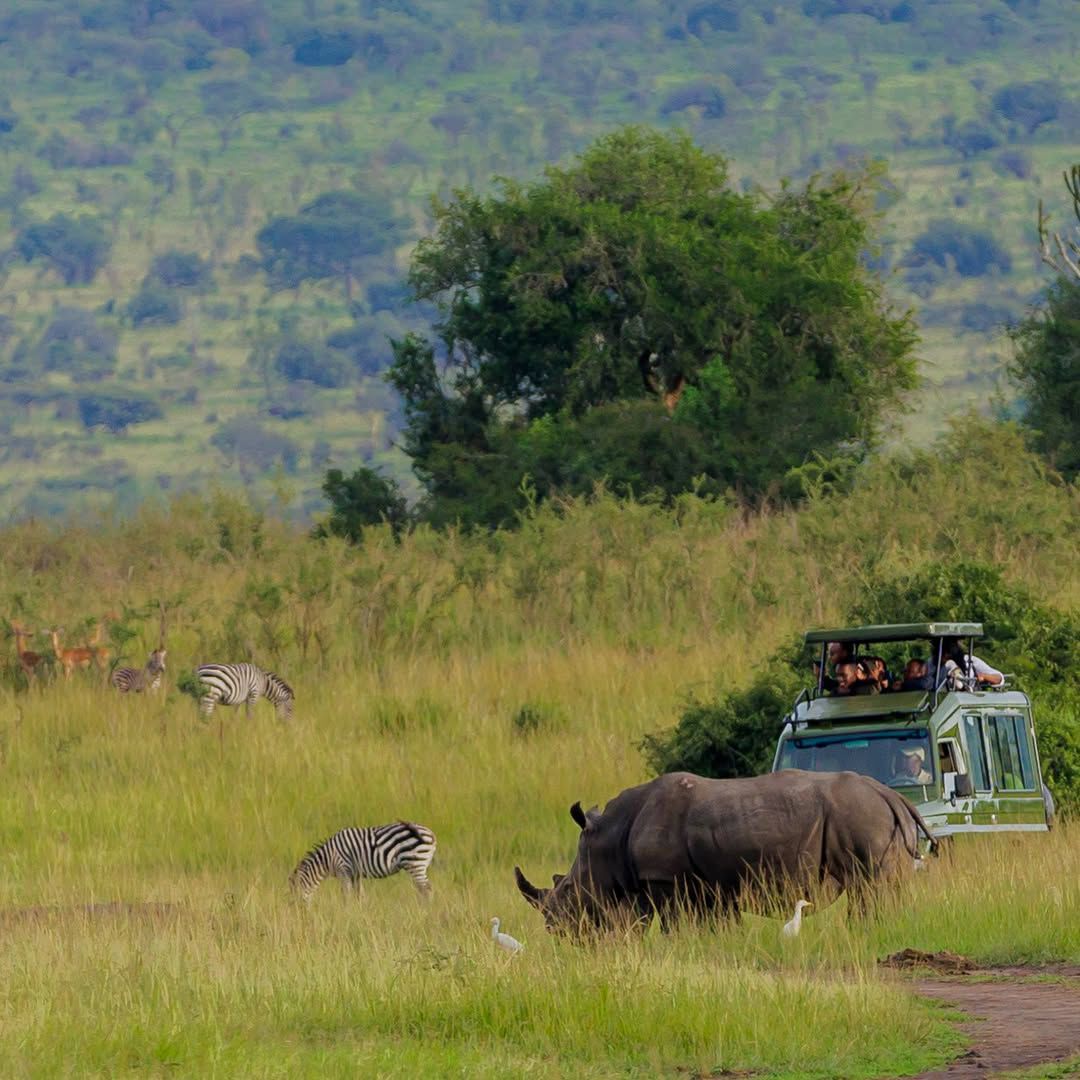 6-Day Kidepo Valley and Murchison Falls safari