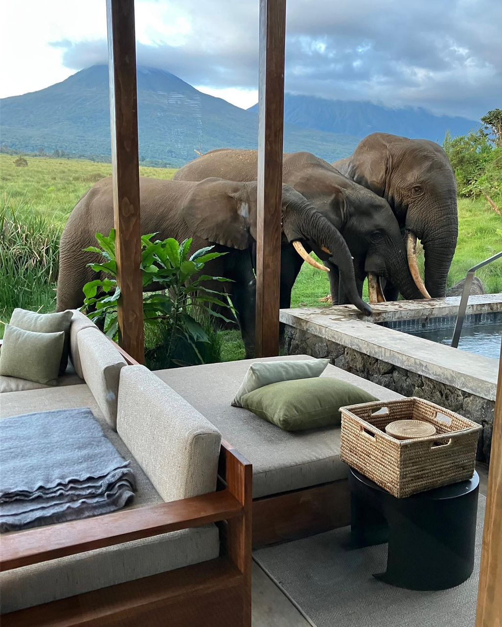 5 Days Luxury Gorilla Trekking Safari